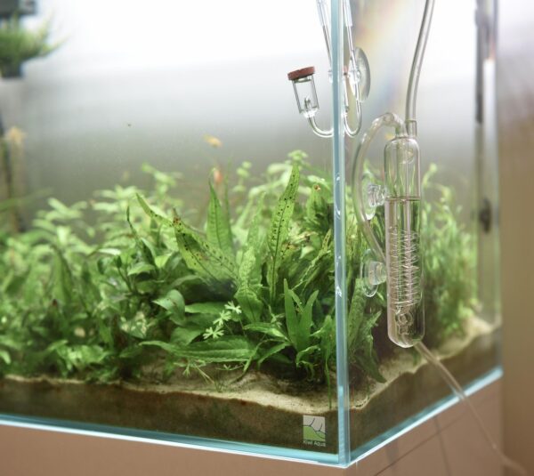 AQUAPRO CO2 Spiral Bubble Counter - Image 3