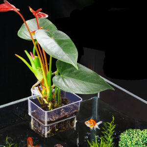 Aquarium Clip-On Plant Container