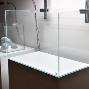 Ultra Clear Aquarium - Kiwi Aqua