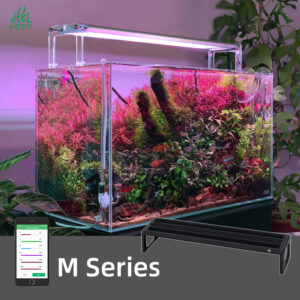 Week-Aqua-Lighting-M-Serie
