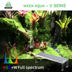 Week Aqua - V Serie