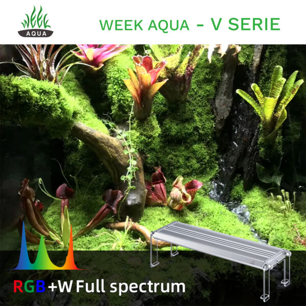 Week Aqua - V Serie