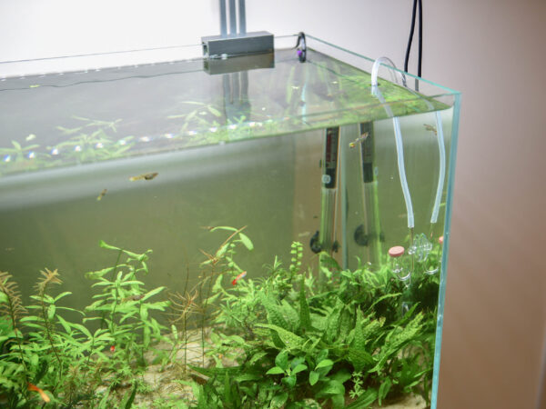 5-Liter DIY CO2 Stainless Steel Bottle Full Kit - Image 7