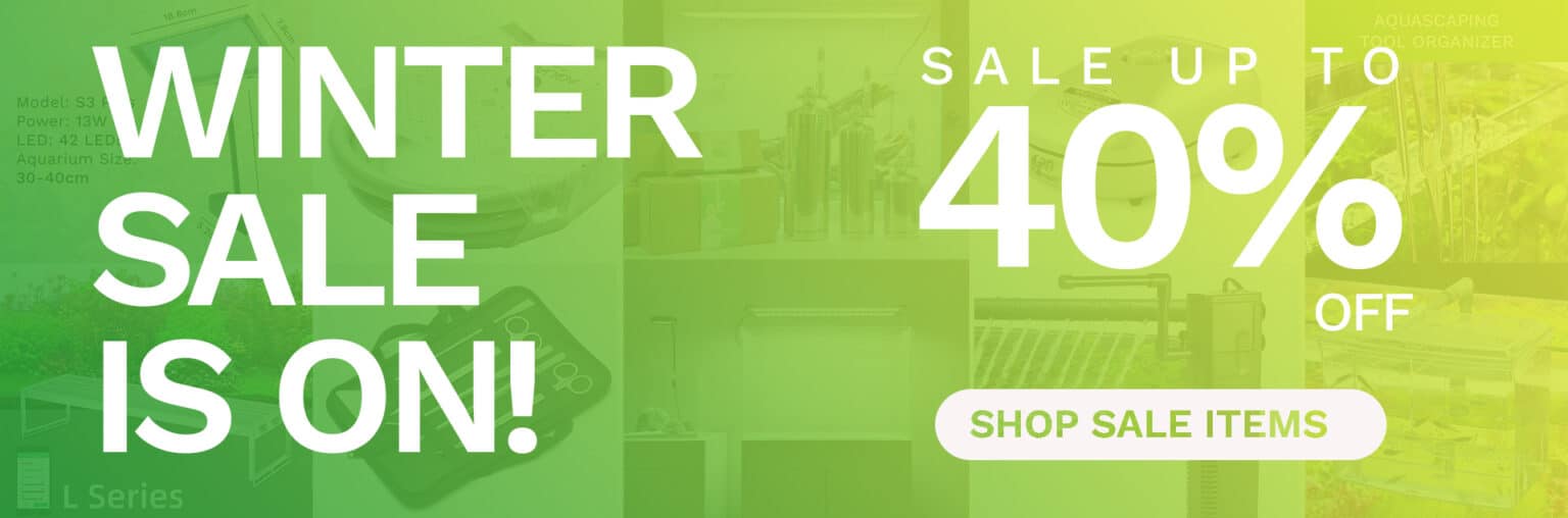 Kiwi Aqua Winter Sale 2025