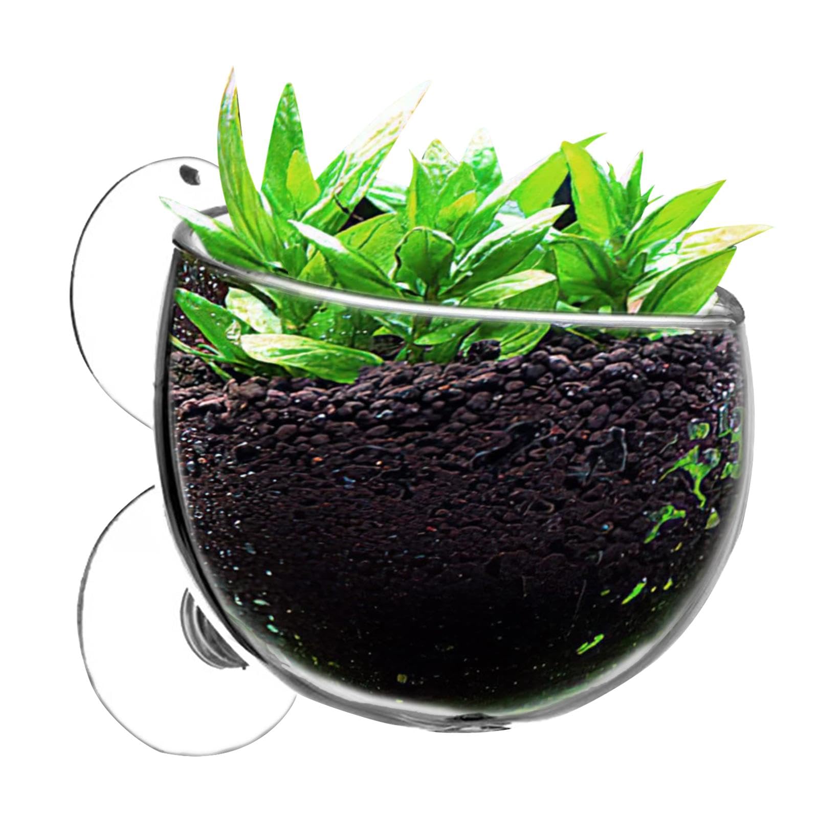 Glass Aquarium Plant Pot - Image 2