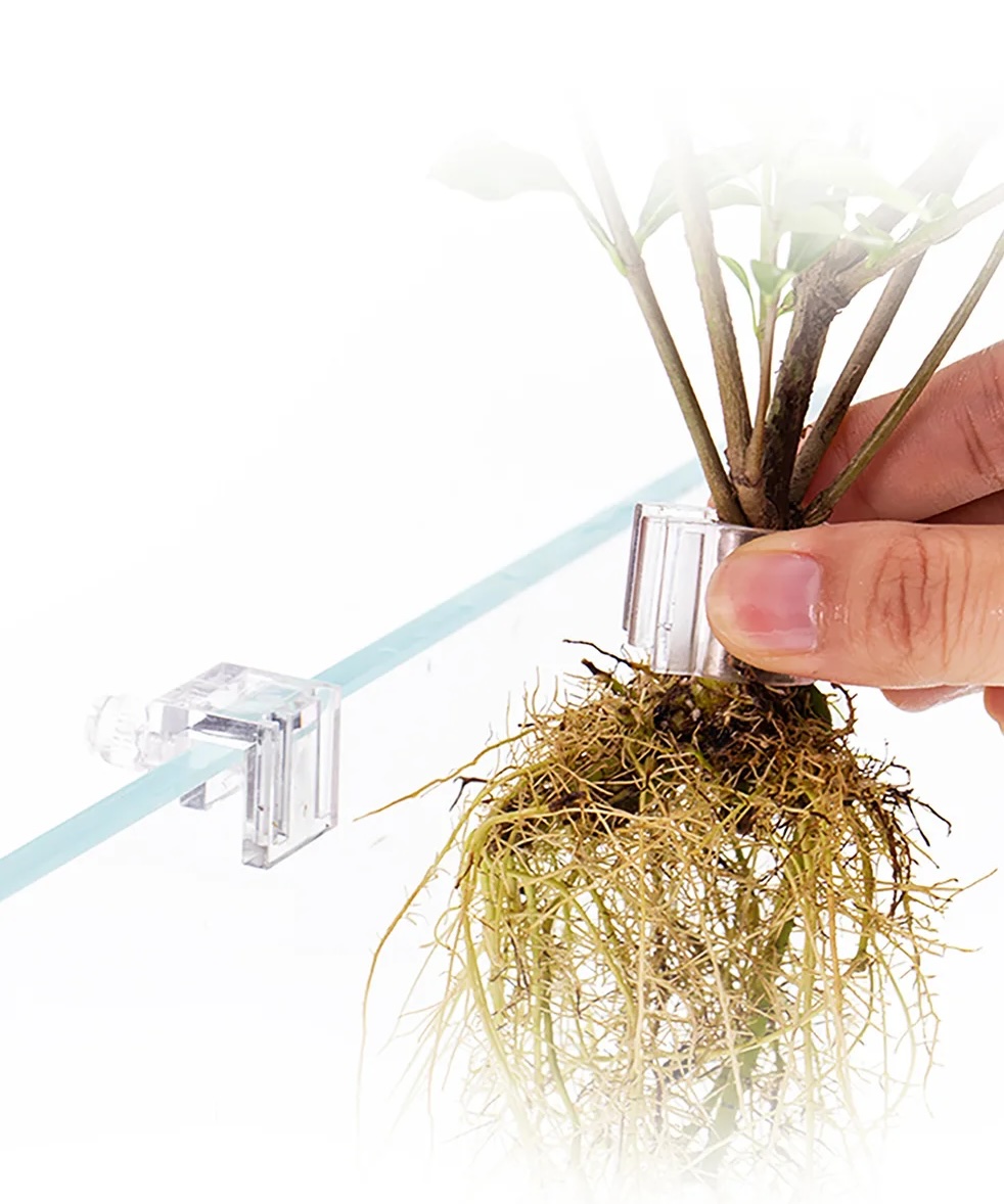 Aquarium Hydroponic Plant Holder - Image 4