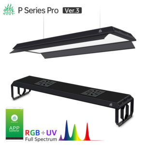 WEEK-AQUA-P-Series-PRO