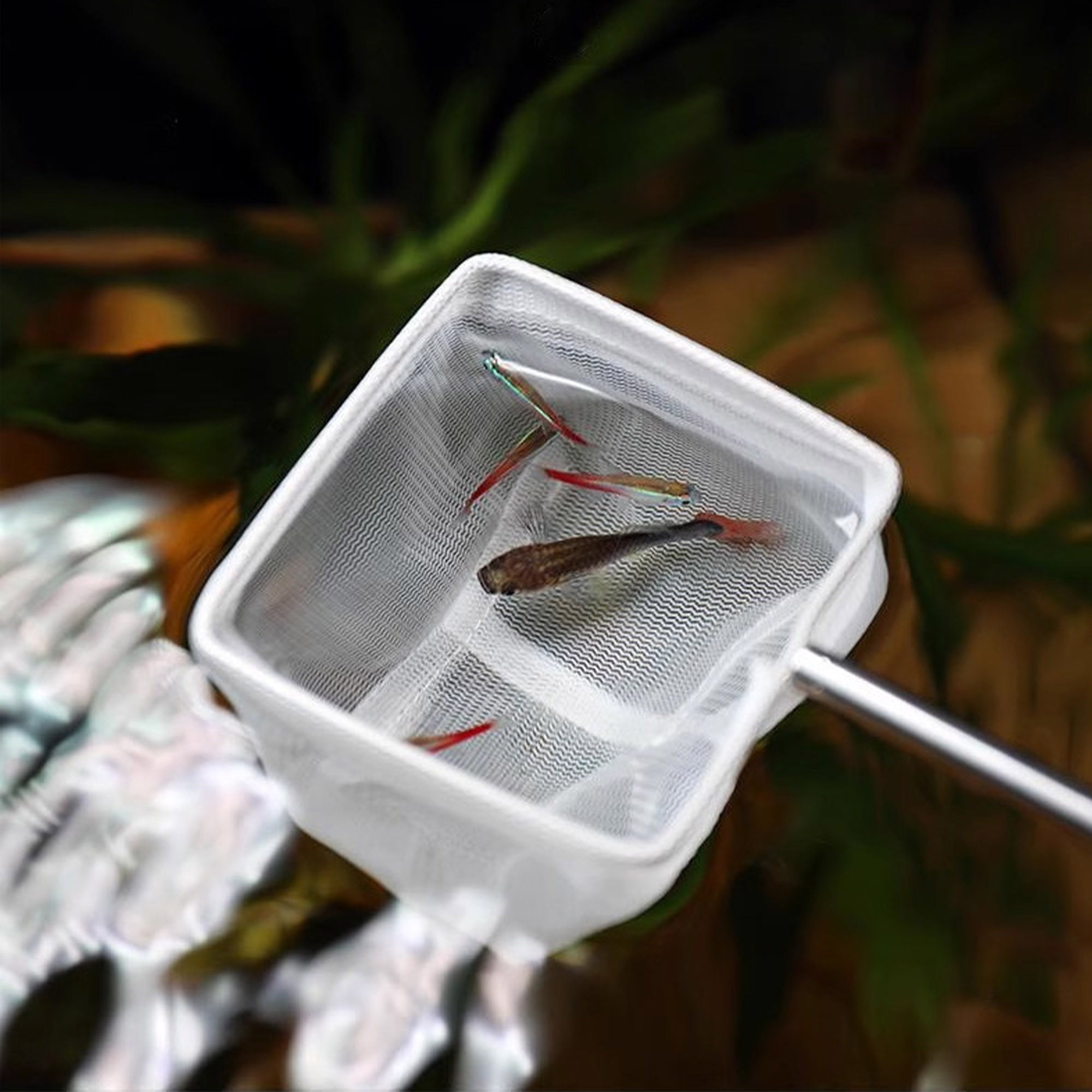 Telescopic Fish Net - Image 2
