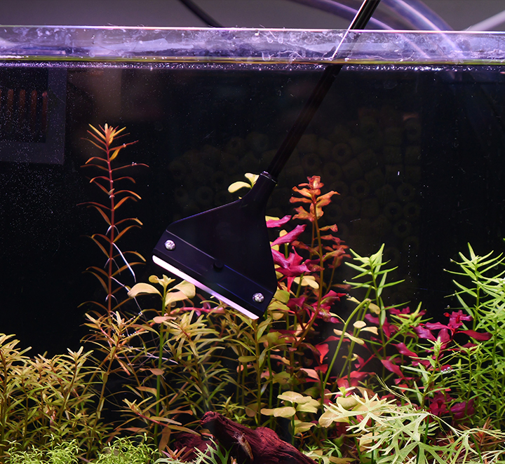 QANVEE Aquarium Algae Scraper Tool - Image 6
