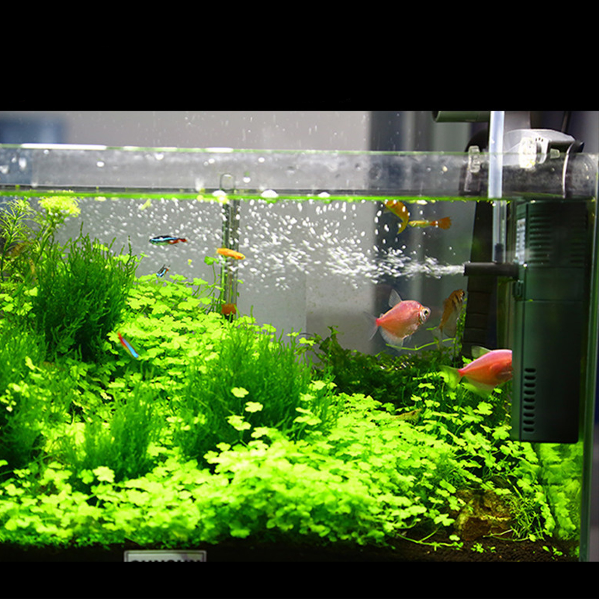 SUNSUN Aquarium Internal Filter - Image 7